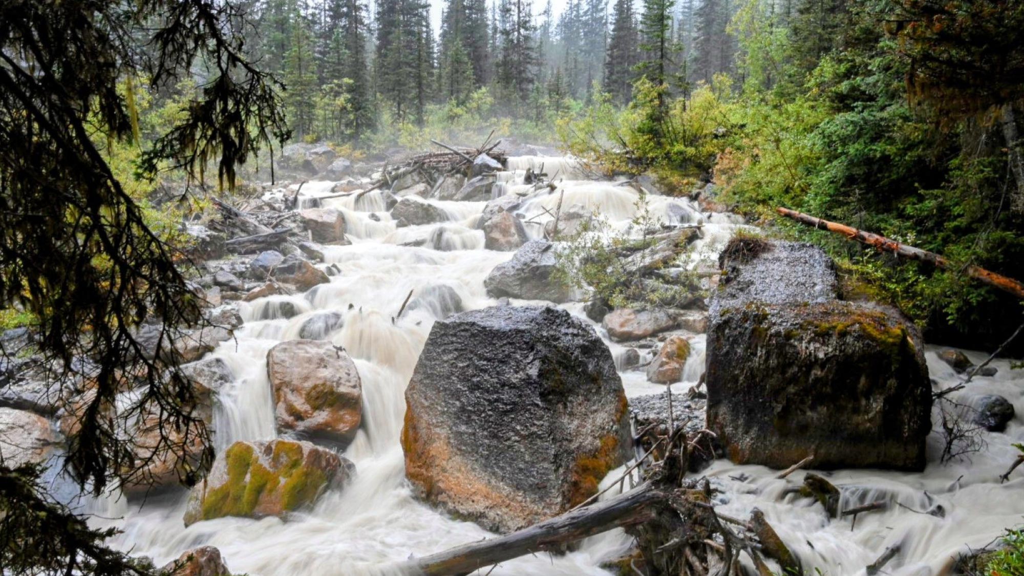 Captivating cascades flow into the tranquil waters of Lake Louise.