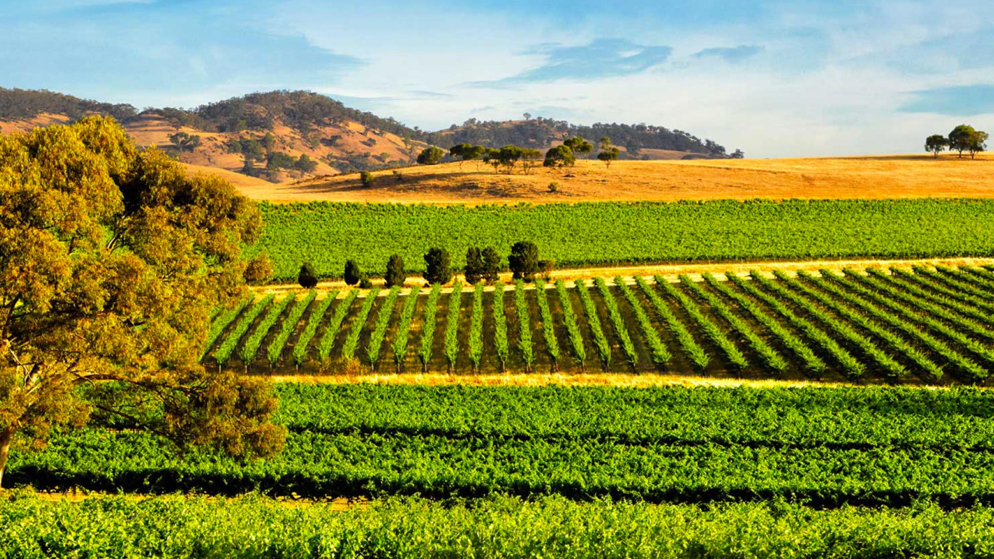 Capture the vibrant charm of Adelaide in Australia, a highlight of the journey spanning 21 countries, tailored for self-flying pilots. Explore the picturesque cityscape and cultural treasures of this coastal gem, nestled amidst the stunning landscapes of South Australia.
