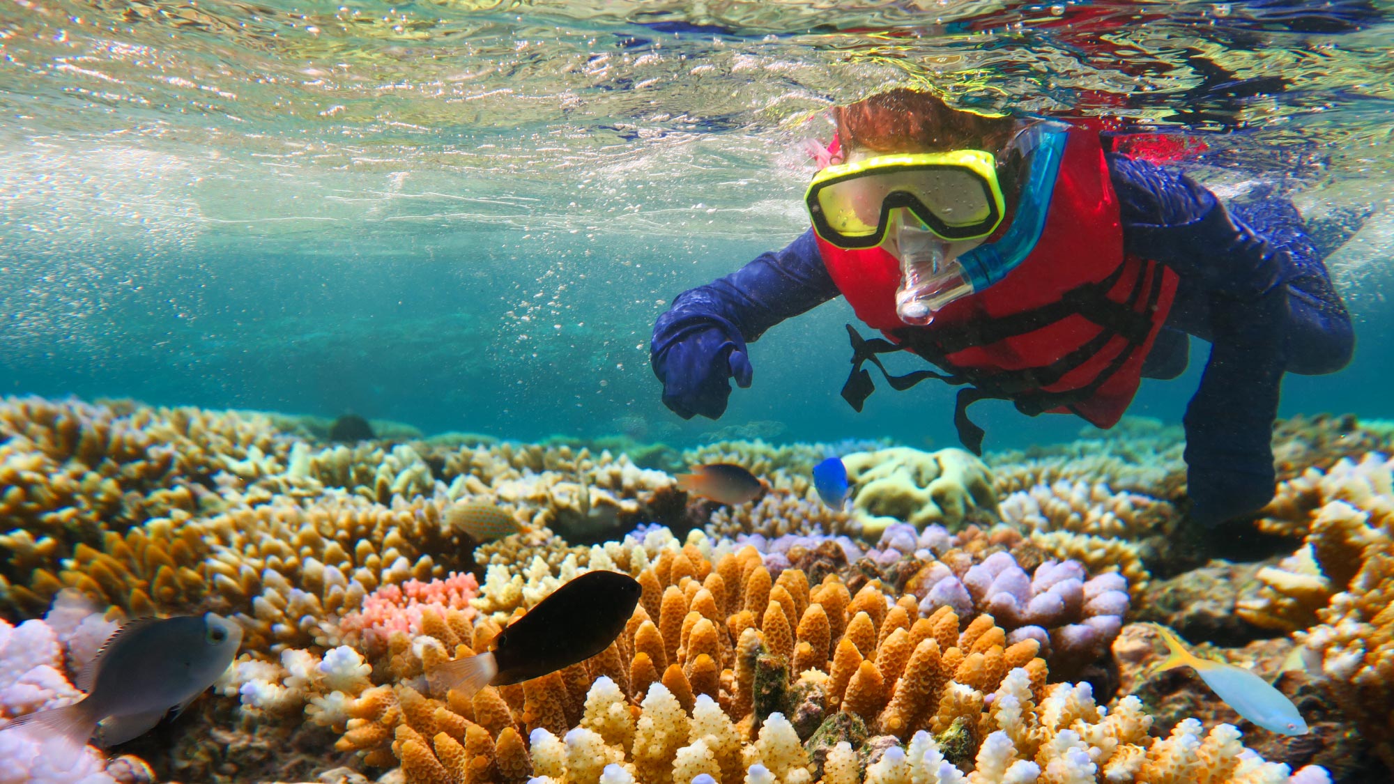 Explore the breathtaking Great Barrier Reef, a highlight of the journey to Australia spanning 21 countries, designed for self-flying pilots with a passion for adventure and exploration.