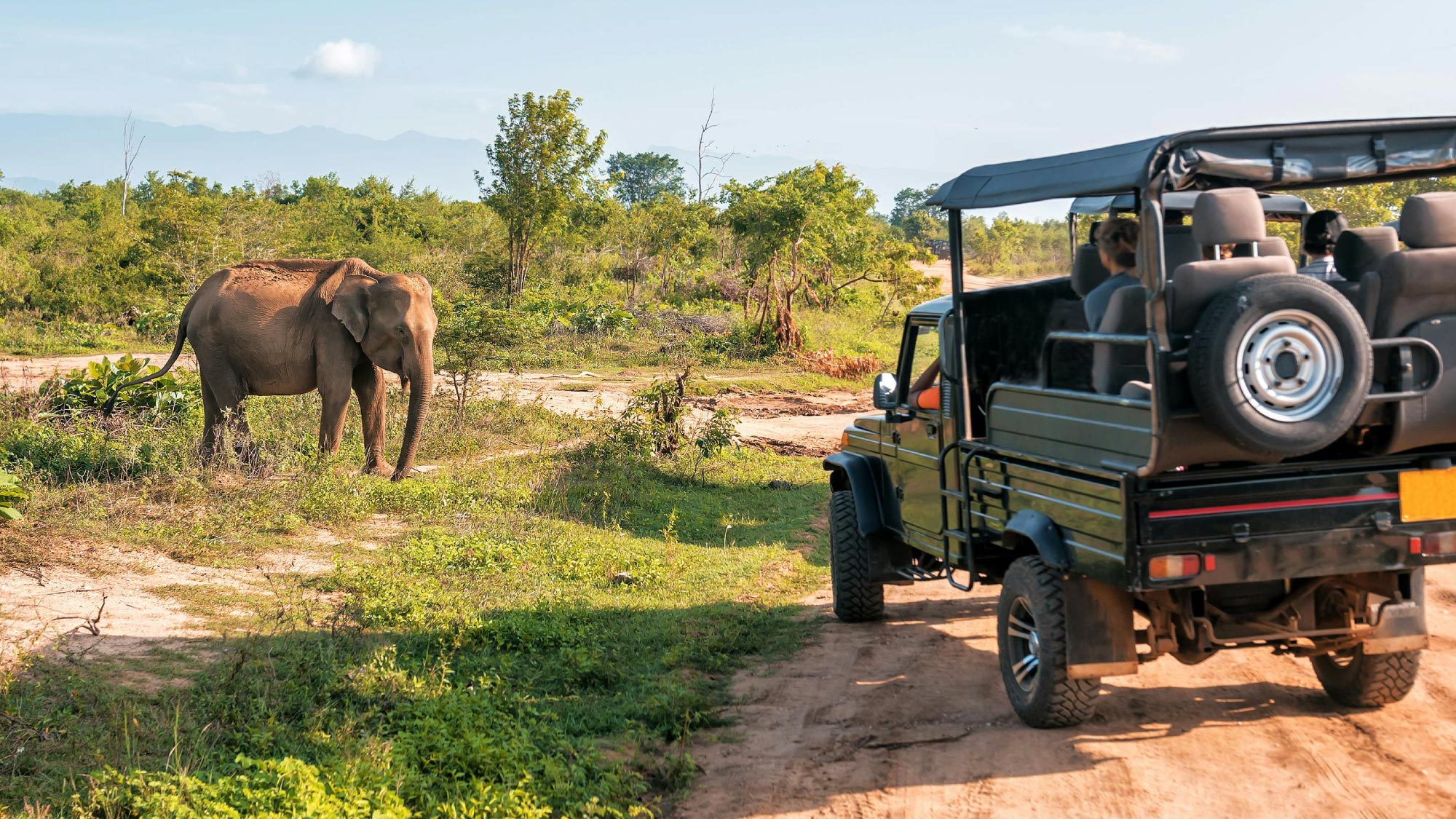 Embark on an exhilarating game drive in Yala National Park, Sri Lanka, to spot leopards, bears, and elephants. A highlight of your journey to Australia, visiting 21 countries, for airplane-owning travelers.