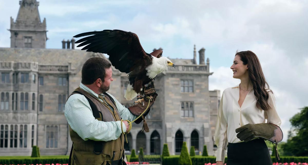 Enchanting scene of falconry at Adare Manor, Ireland, enticing self-flying pilots to discover Europe's diverse attractions and indulge in unique experiences along their airborne adventures.