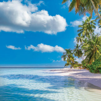 A mesmerizing view of a pristine turquoise Caribbean beach, with powdery white sands and crystal-clear waters stretching to the horizon. Tailored for self-flying pilots