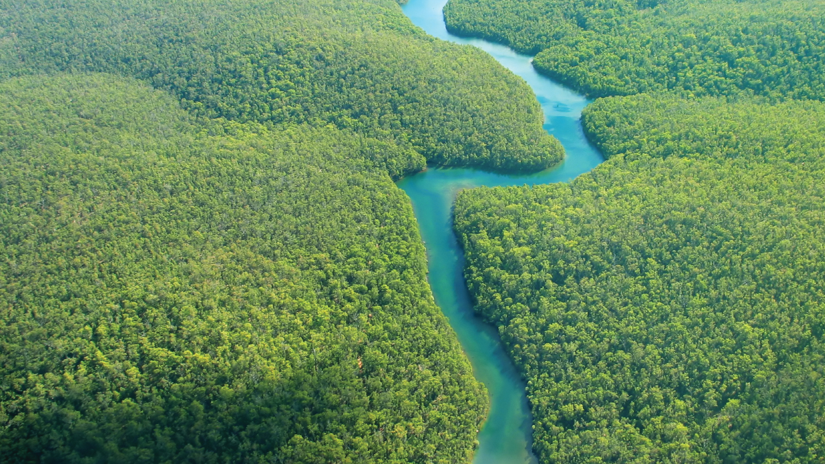 An awe-inspiring aerial view of the majestic Amazon River in Peru, meandering through dense rainforest and vast expanses of untouched wilderness. A captivating destination for self-flying pilots exploring South America