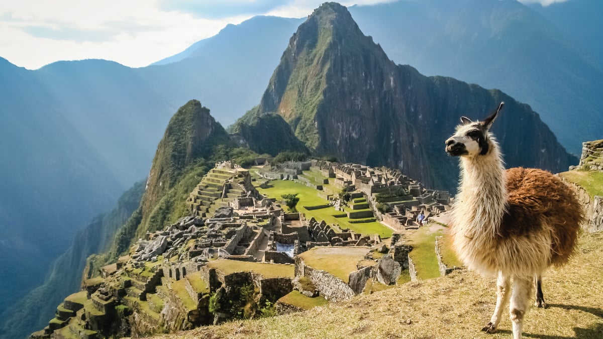 An enchanting aerial perspective of Machu Picchu, Peru, with an alpaca in the foreground and the iconic ancient citadel in the background, nestled amidst the Andean peaks. A captivating sight for self-flying pilots exploring South America, Machu Picchu offers a blend of natural beauty, historical significance, and cultural immersion, inviting adventurers to soar above and witness its timeless splendor.
