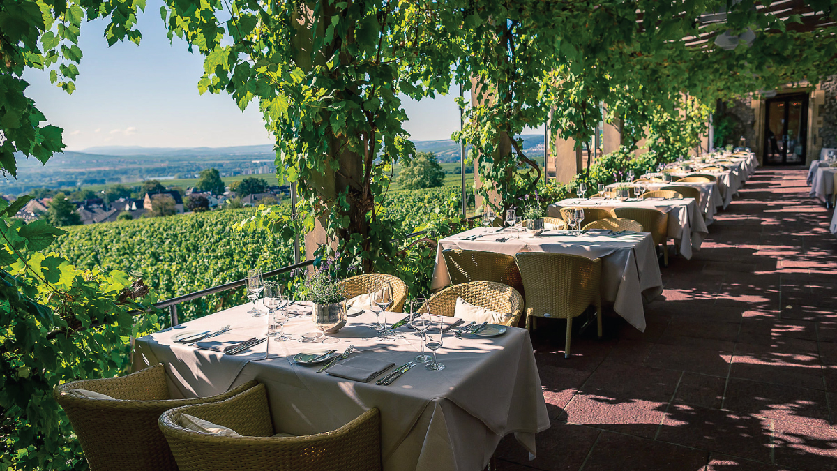 A captivating view of the vineyards from the restaurant of Burg Schwarzenstein Park Residence in Hahn, Germany, offering a scenic backdrop for diners to enjoy. Tailored for self-flying pilots planning a European adventure