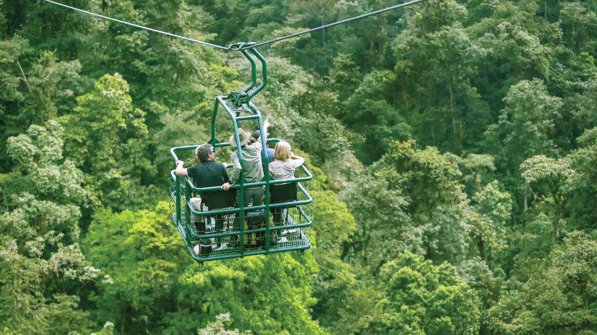 An adventurous canopy cart ride through the lush Mashpi Lodge Private Reserve in Ecuador, surrounded by verdant rainforest and exotic wildlife. A thrilling opportunity for self-flying pilots to experience the wonders of South America's natural beauty, offering an unforgettable aerial perspective amidst the treetops of Ecuador's pristine wilderness.