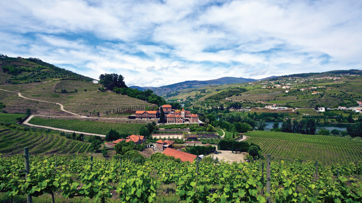 A captivating view of the vineyard at Six Senses Douro Valley in the scenic Douro Valley, Portugal. Tailored for self-flying pilots planning a European adventure