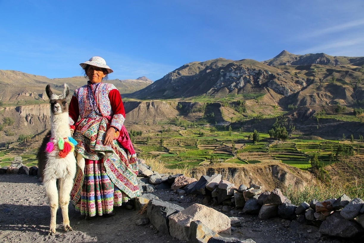 Native Andean woman and Alpaca in front of Colca Canyon, Peru