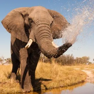 Journey to Africa - September 2025-V2